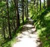 Ramsau, Wanderung zum Hirschkaser Ramsau, Wanderung zum Hirschkaser