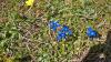 WP_20140425_024 1 WP_20140425_024 1
