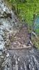 WP_20140425_041 1 WP_20140425_041 1
