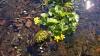 WP_20140425_042 1 WP_20140425_042 1