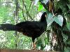 Vogelpark Vogelpark