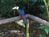 Vogelpark Vogelpark