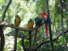 Vogelpark Vogelpark