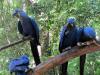 Vogelpark Vogelpark