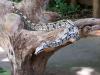 Vogelpark Vogelpark