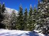 Stubentalalpe Stubentalalpe