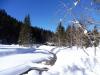 Bleckenau 01.2017 015 Bleckenau 01.2017 015