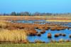 Zingst DSC_6487