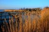 Zingst DSC_6512