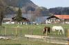 Schliersee > Blick auf den See