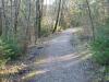 Deininger Weiher u. Zauberwald 4 Deininger Weiher u. Zauberwald 4