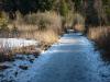 Deininger Weiher u. Zauberwald 5