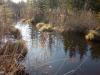 Deininger Weiher u. Zauberwald 6 Deininger Weiher u. Zauberwald 6
