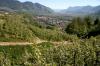 31 Schloss Tirol Algunt 103 800 31 Schloss Tirol Algunt 103 800