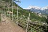 38 Schloss Tirol Algunt 125 800 38 Schloss Tirol Algunt 125 800