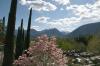 40 Trautmannsdorff 186 800 40 Trautmannsdorff 186 800
