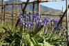 41Schloss Tirol Algunt 128 800 41Schloss Tirol Algunt 128 800