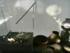kelten_RIMG1118 kelten_RIMG1118