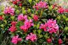 07 hirzer_067.jpg800 07 hirzer_067.jpg800