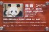 Panda1-13 Panda1-13