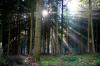 Hohe Mark_DSC_0760 Hohe Mark_DSC_0760