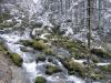 ST.KOLOMAN/GOLLING > Wasserfall 7 ST.KOLOMAN/GOLLING > Wasserfall 7