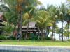 MS:Hotel Lux Le Morne>Kokosnusspflücker1 MS:Hotel Lux Le Morne>Kokosnusspflücker1