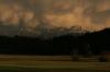 o IMG_4388 450 o IMG_4388 450