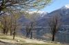 02 Ufer See Ascona 800 (1) 02 Ufer See Ascona 800 (1)