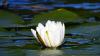 DSCN0393 DSCN0393