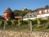 A > Wachau > Dürnstein mit Ruine