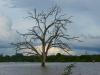 Udawalawe Nationalpark > Stausee