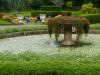 Kandy > Botanischer Garten Peradeniya