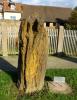 D:Hessen>Büdingen>Altstadtparkplatz>versteinertes Holz D:Hessen>Büdingen>Altstadtparkplatz>versteinertes Holz