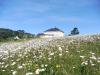 Morgat Wanderung Aber (41) Morgat Wanderung Aber (41)