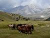 Gran Sasso (33) Gran Sasso (33)
