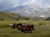 Gran Sasso (33)