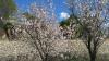Jalon_020 Jalon_020