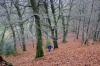 Eggegebirge 3 3 Eggegebirge 3 3