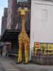 DUISBURG > Innenhafen > Legogiraffe