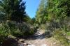 Rothaarsteig 03a 5 Rothaarsteig 03a 5