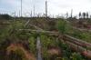 Rothaarsteig 4a 3 Rothaarsteig 4a 3