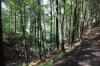 Rothaarsteig 4b 5 Rothaarsteig 4b 5