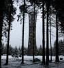 Arnsberger Wald 6 Arnsberger Wald 6