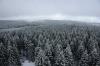 Arnsberger Wald 8 Arnsberger Wald 8