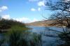 Nationalpark Eifel