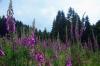 Bergisches Land 1 3 Bergisches Land 1 3