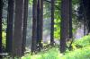 Bergisches Land 2 4 Bergisches Land 2 4
