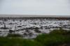 Dangast 03 4 Dangast 03 4