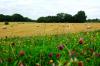 Ostfriesland 13